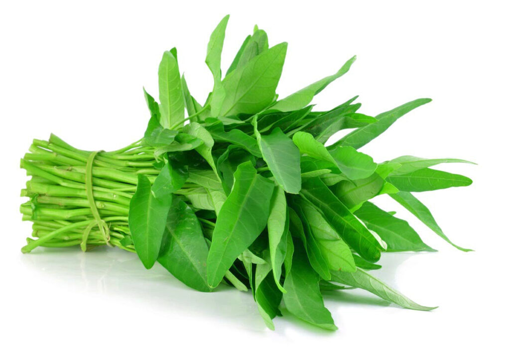 Kangkung