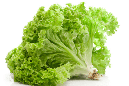 Lettuce
