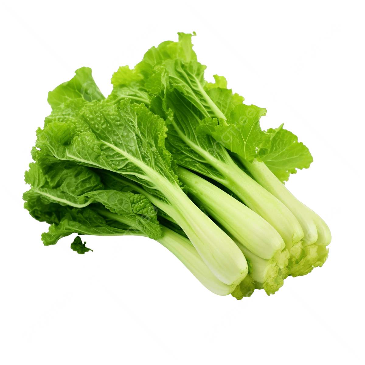 Mustard Greens